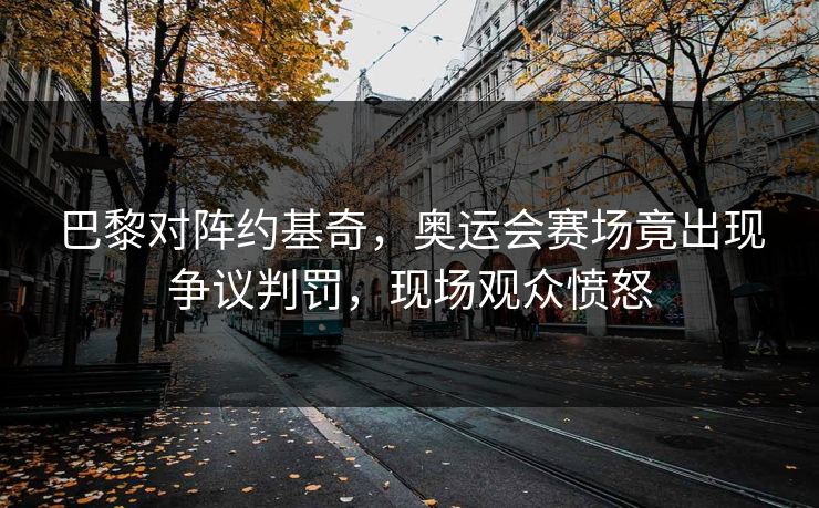 巴黎对阵约基奇,奥运会赛场竟出现争议判罚,现场观众愤怒